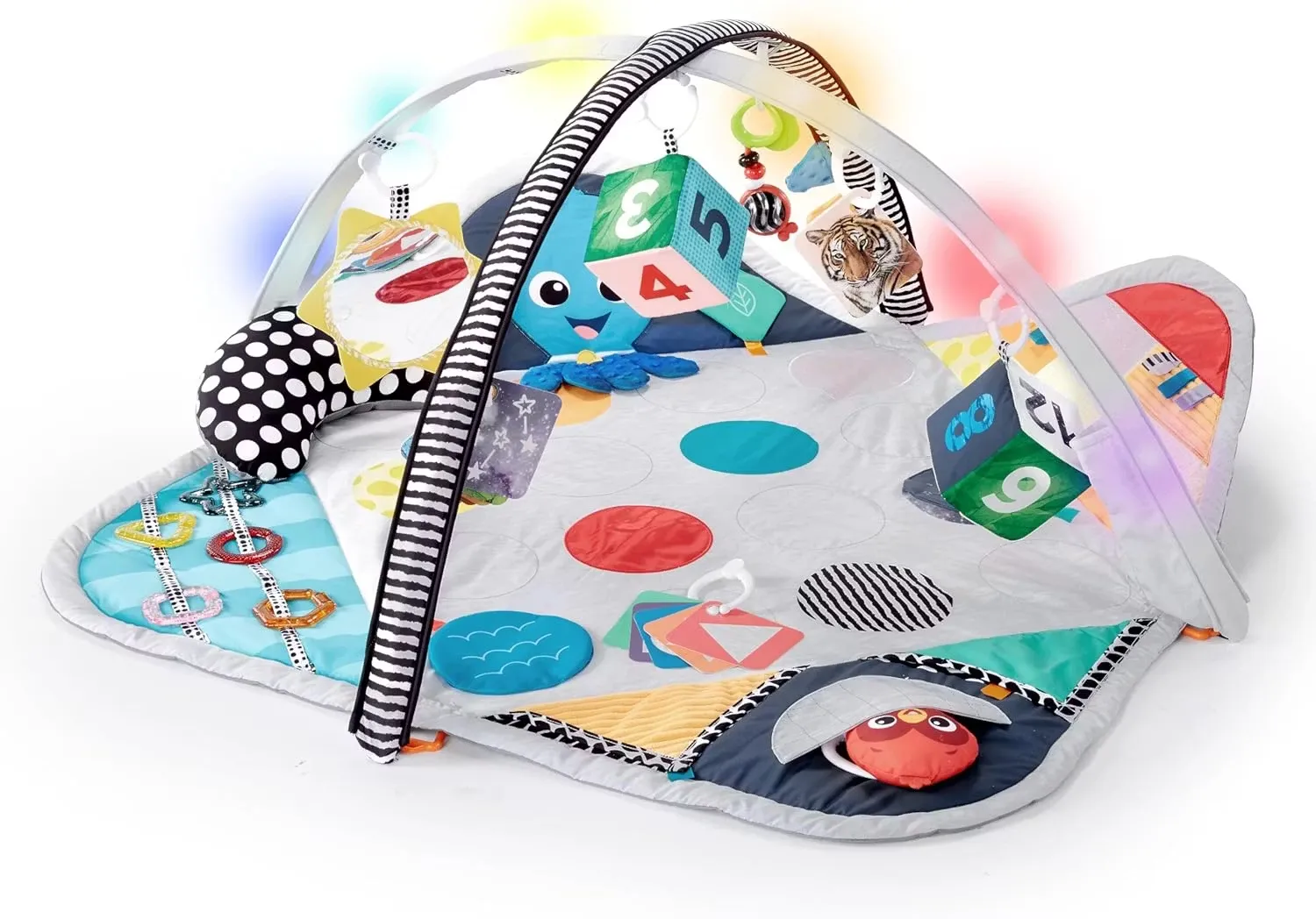 Baby Einstein Sensory Play Space Babygym