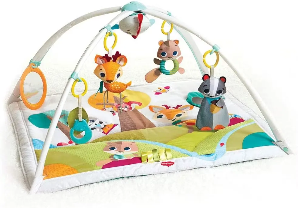 Tiny Love Gymini Deluxe Babygym